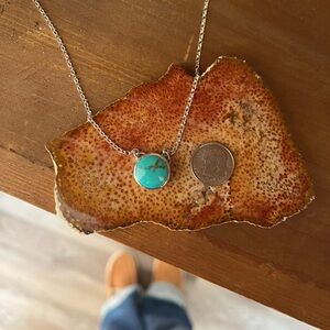 Natural Thunderbird Turquoise Necklace